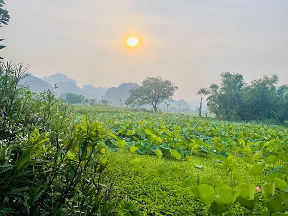 Tam Coc Garden Homestay