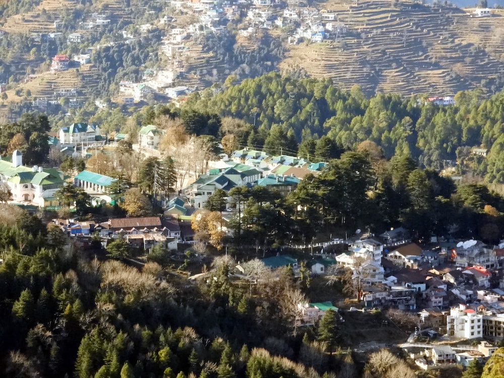 Sandringham Hideout view 3
