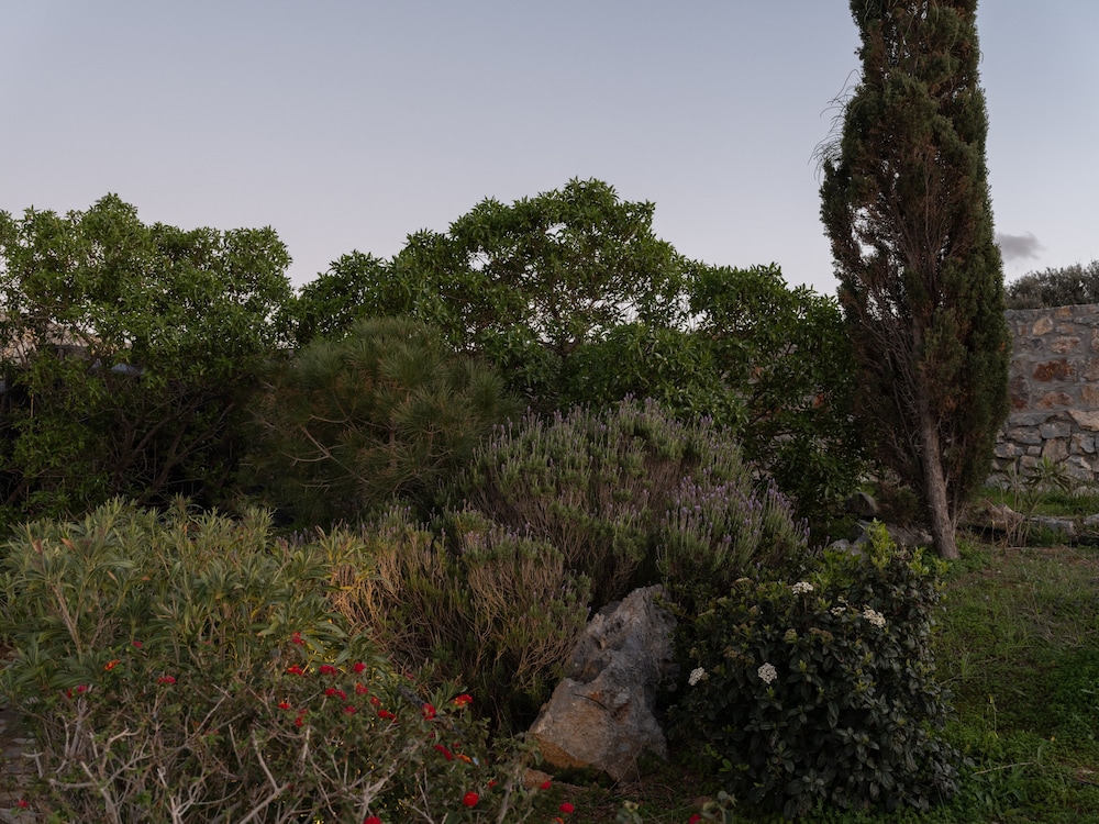 Photo 42