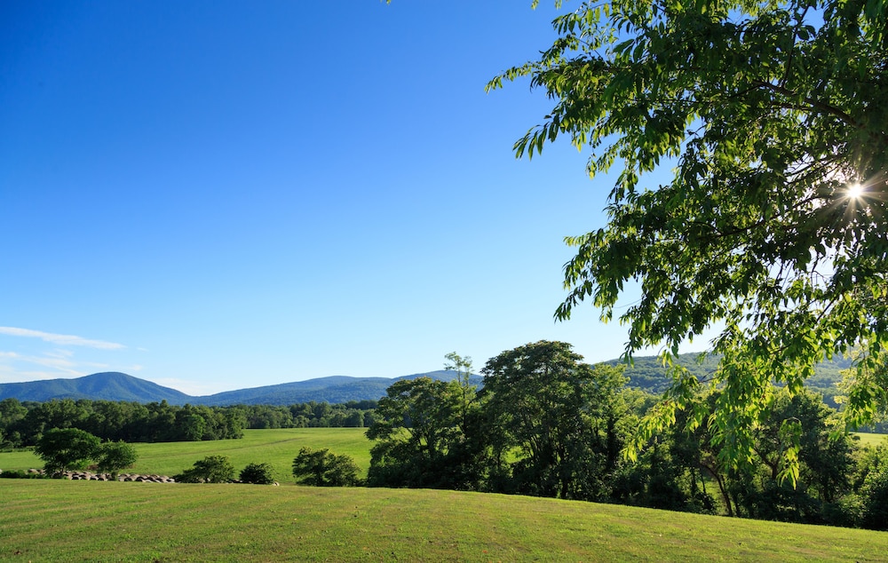 Glen Gordon Manor