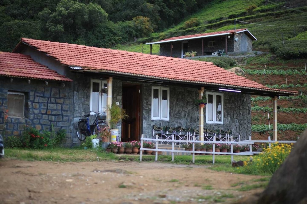 Wild and Free Farm Stay