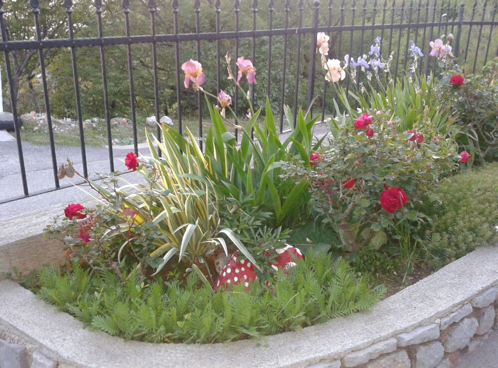 Photo 15