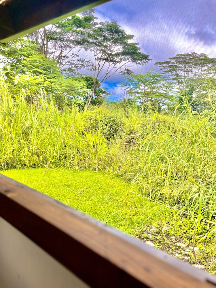 Hawaiian Sanctuary