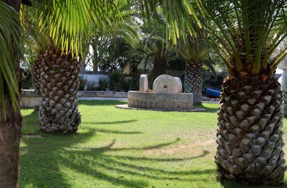 Photo 37