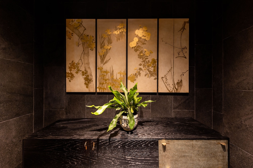 ROKA view 2