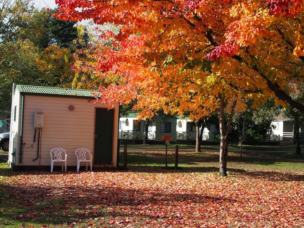 Porepunkah Pines Holiday Park