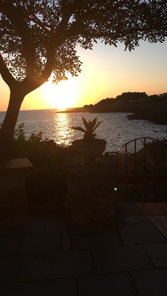 Villa Elisa B&B, photo 55