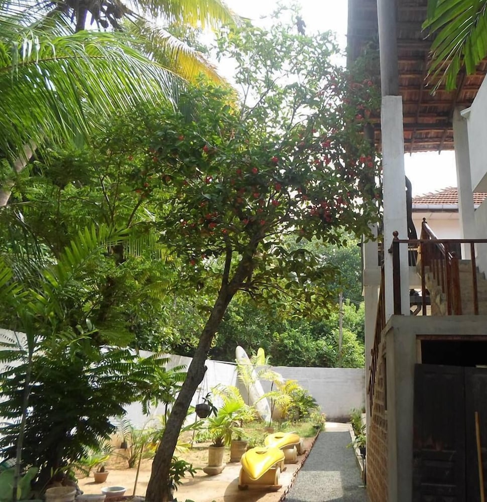 Photo 10
