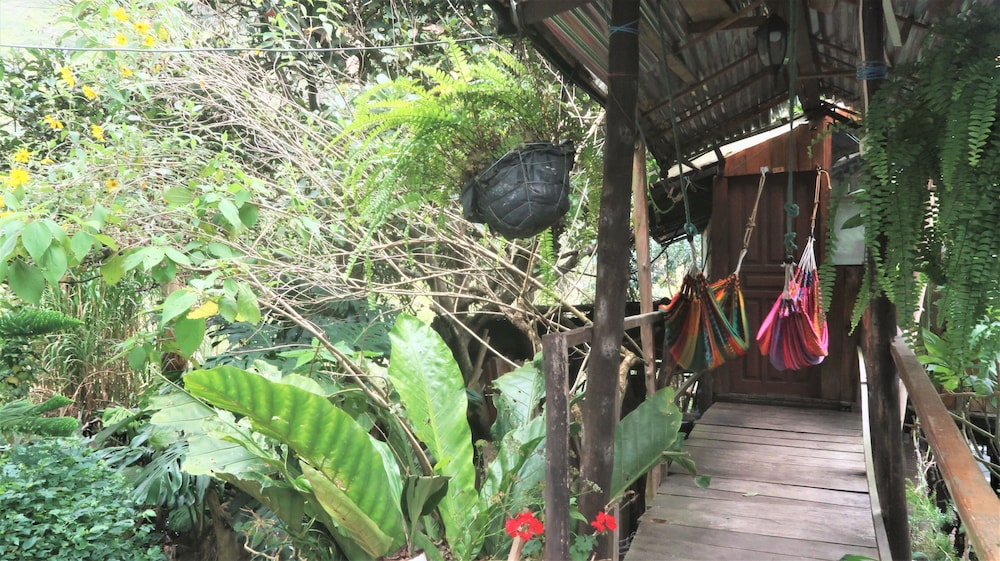 Backpackers  Balcones - Hostel