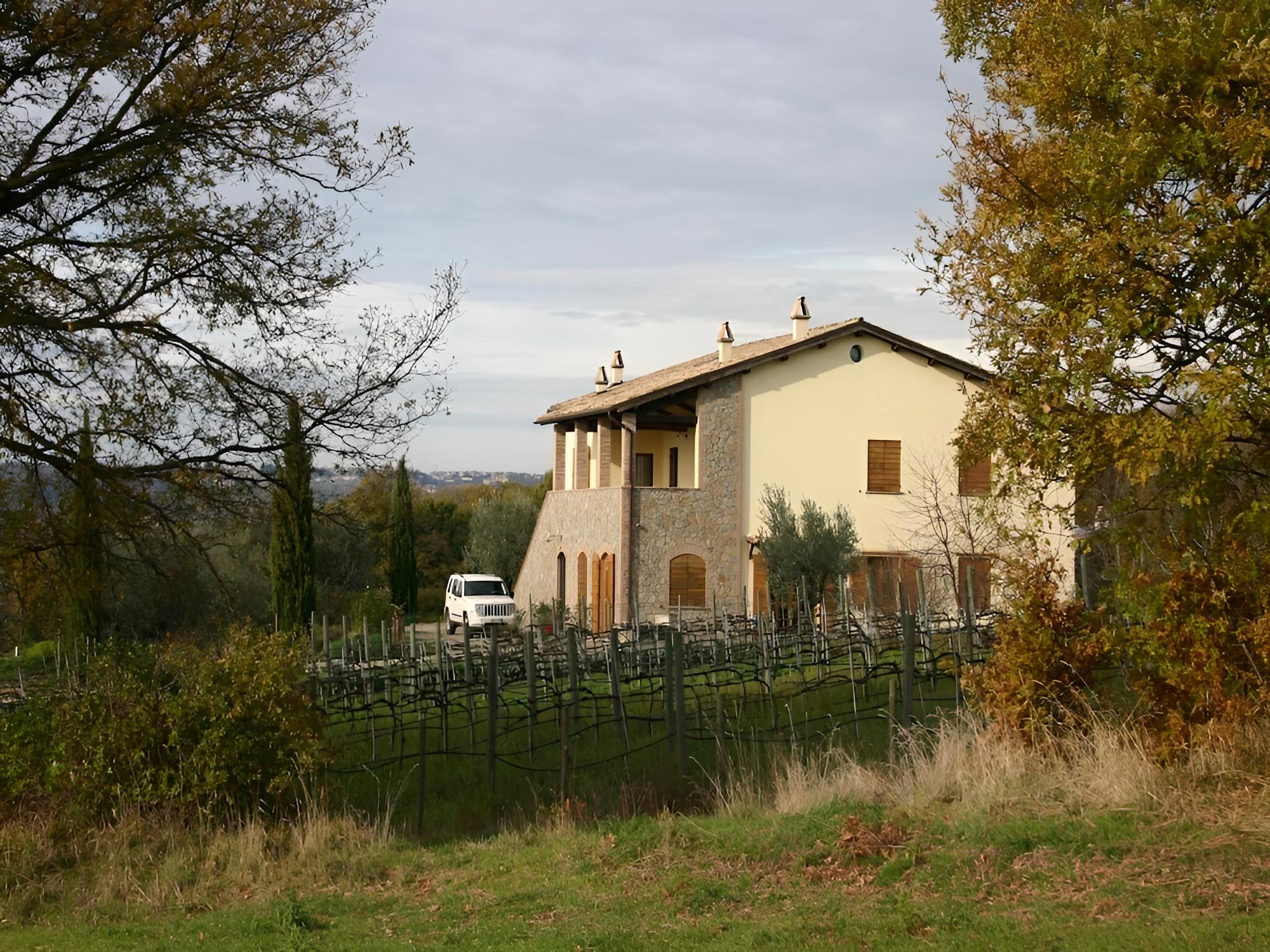 Photo 11