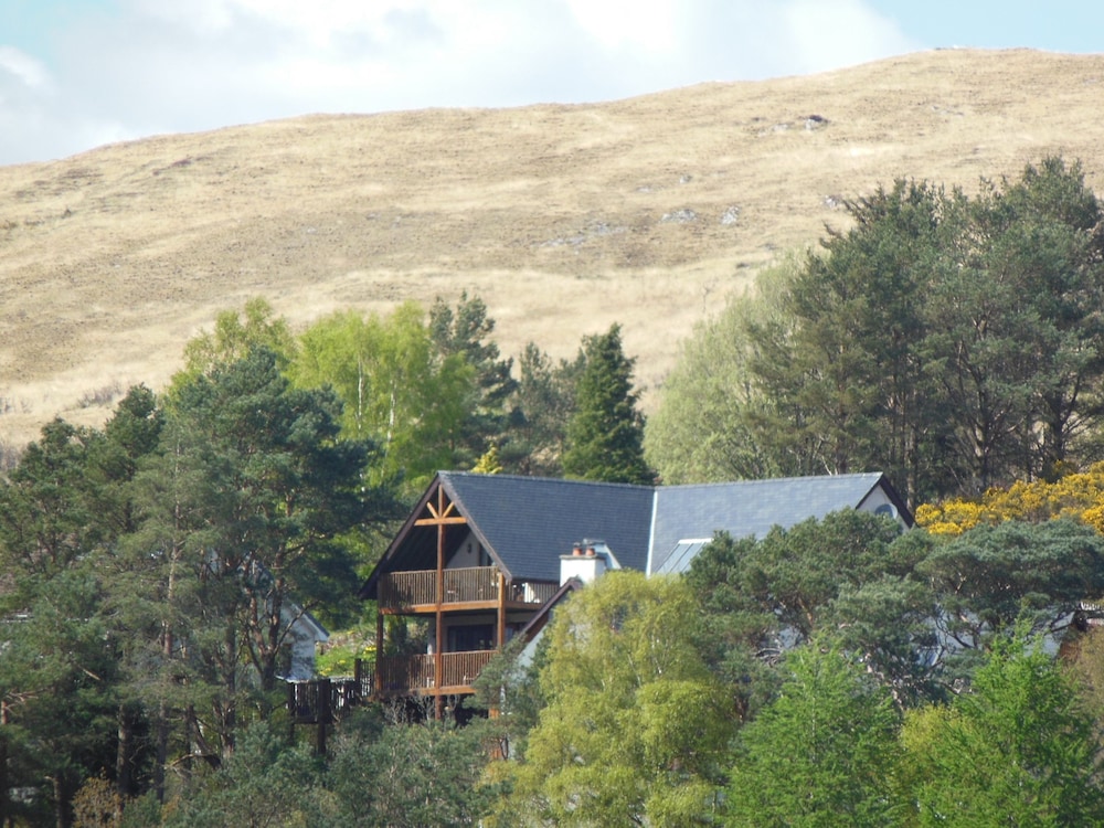 Hotel Treetops B&B - Image 1