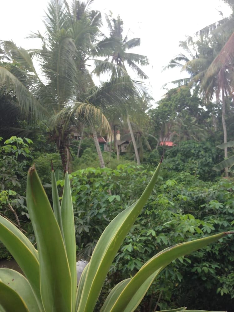 Cebluk Sari Homestay