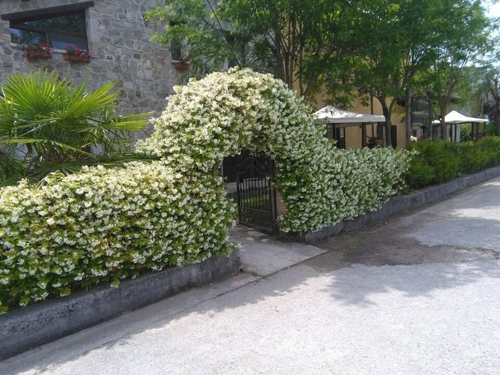 Photo 21