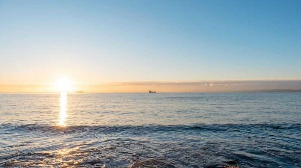 pohang sea scent view 4