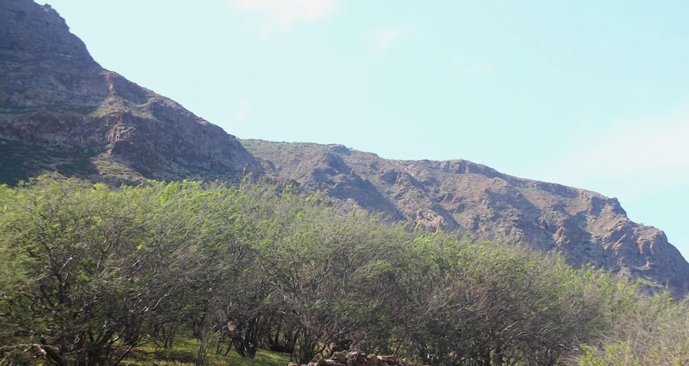 Farinha de Pau - Eco Rural Project