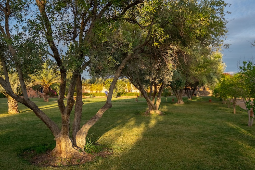 Le Chant des Oliviers Marrakesh