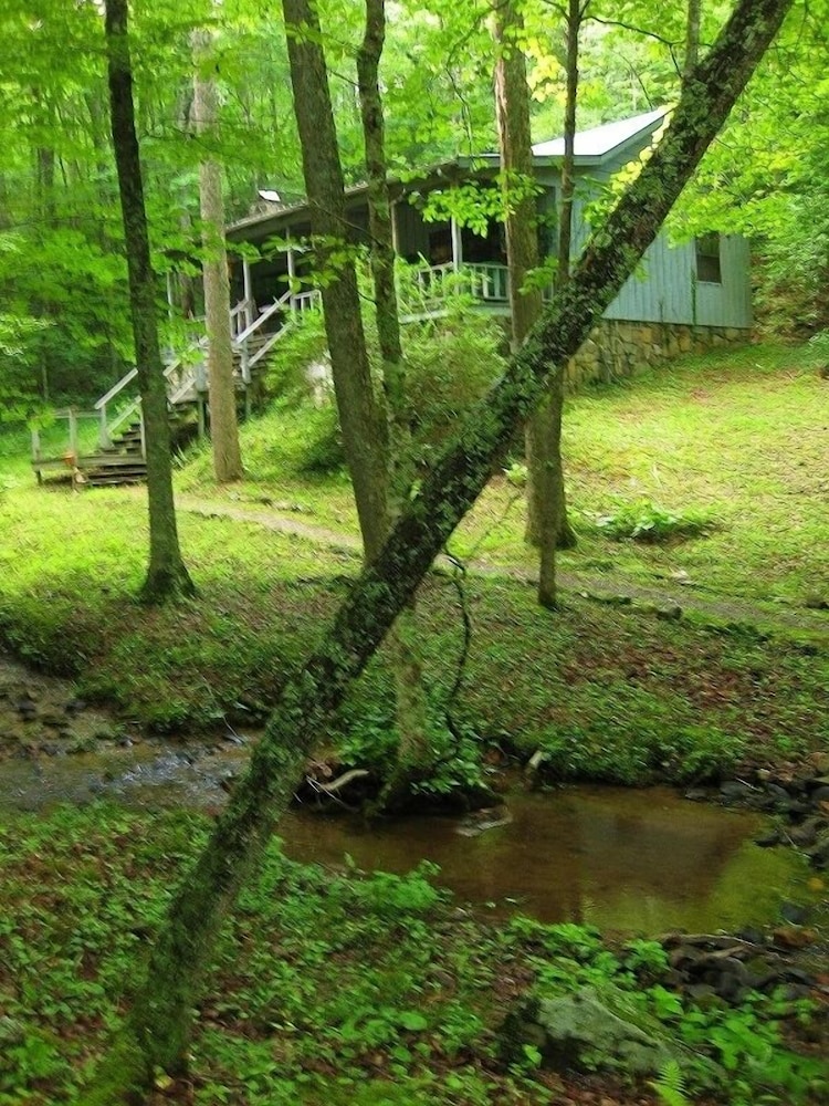 My Little Blue House