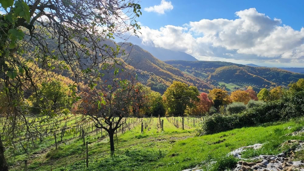 Le Case Residenza di Campagna