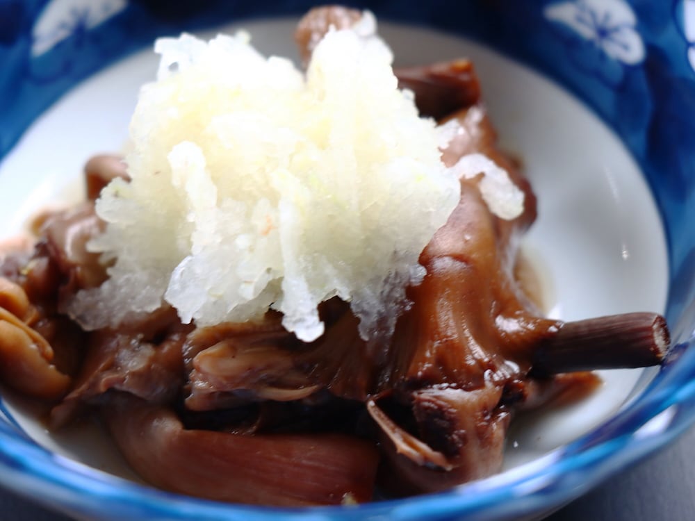 Shigakogen Yokote Yamamotoso