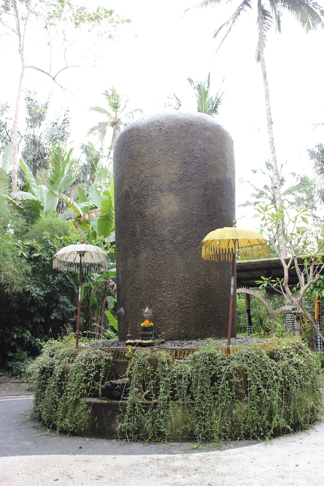 The Jungle Pots