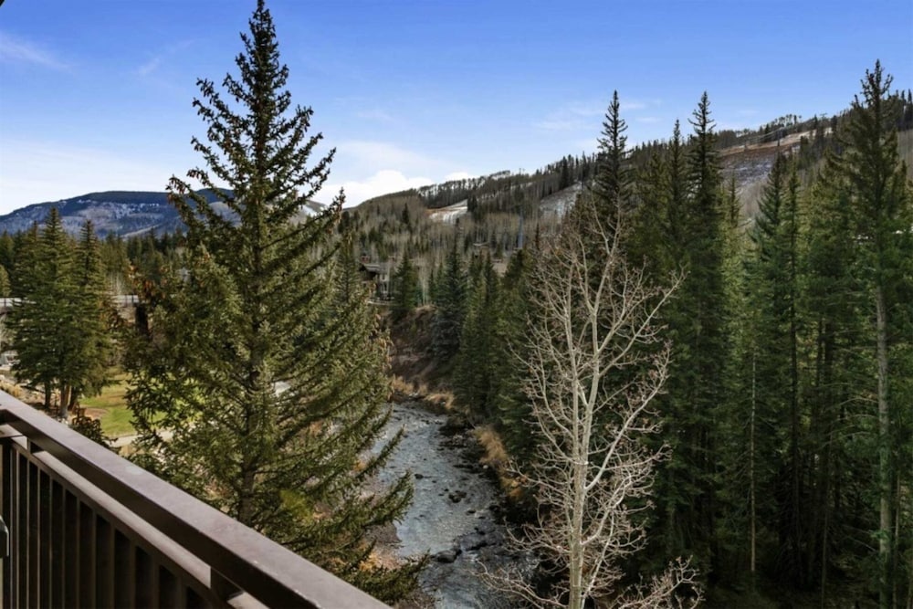 Centrally Located 3 BR in Lionshead Village w/ Pool, Walk to Lift!