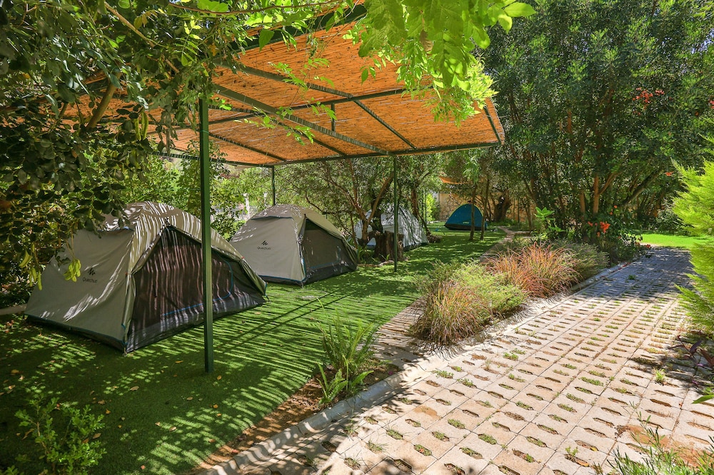 Harnup Apart - Image 29