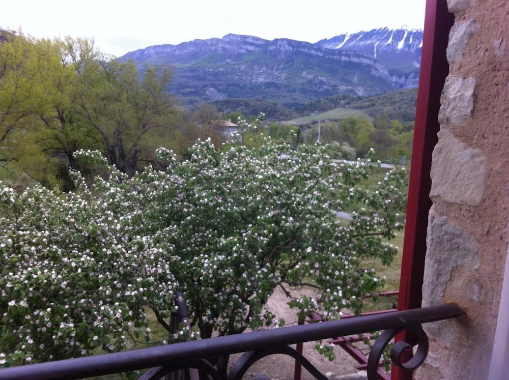 Photo 31