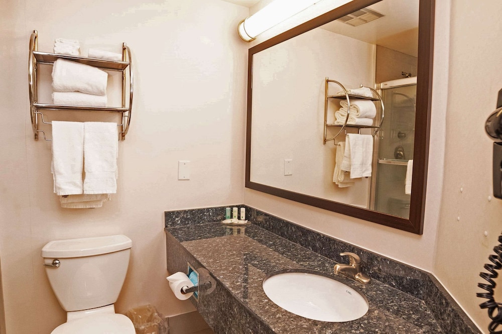 Quality Hotel - Property Image 6