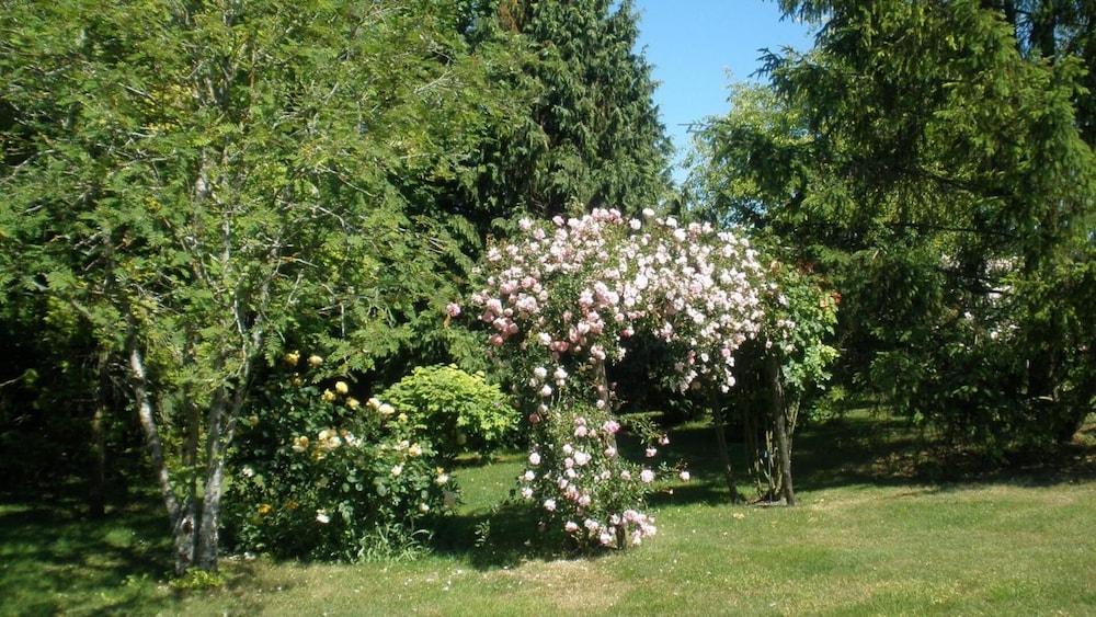 Photo 32