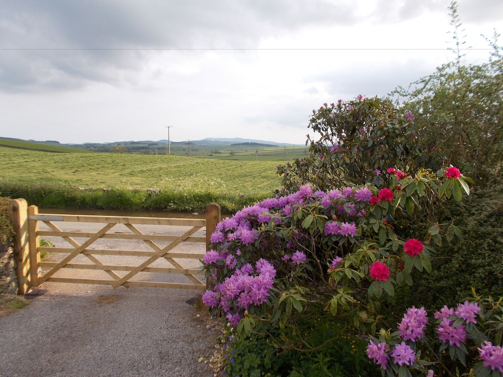 Bluebell Bank