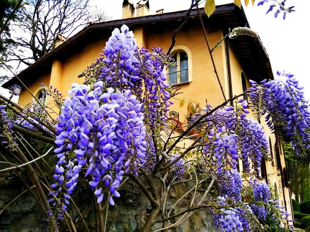 Photo 41