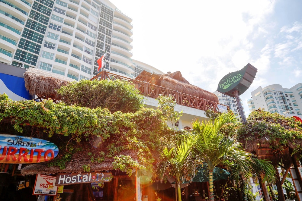 Hostel Natura