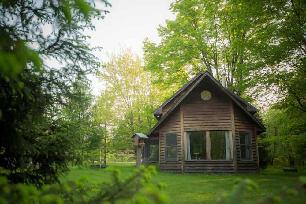 Shire In The Woods