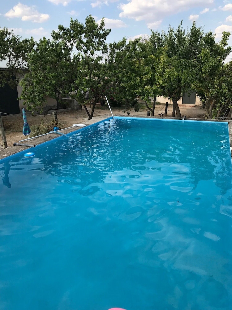 Photo 41
