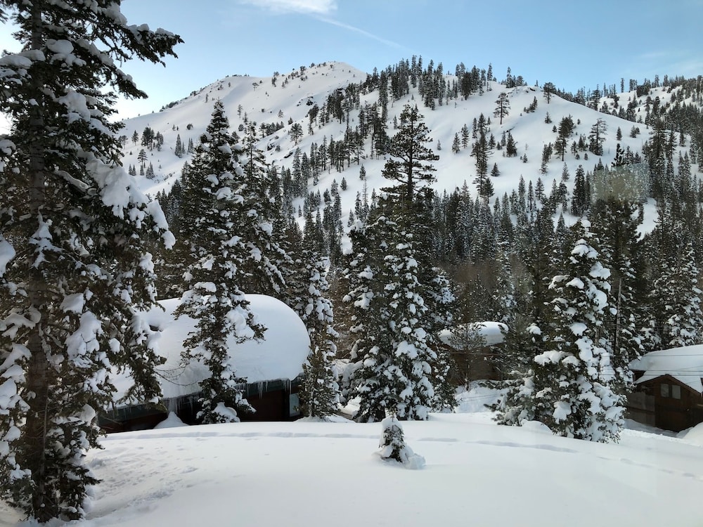 Lake Tahoe Vacations - Trapper Mc Nutt Modern Mountain 4 Bedroom Home by RedAwning - Property Image 14