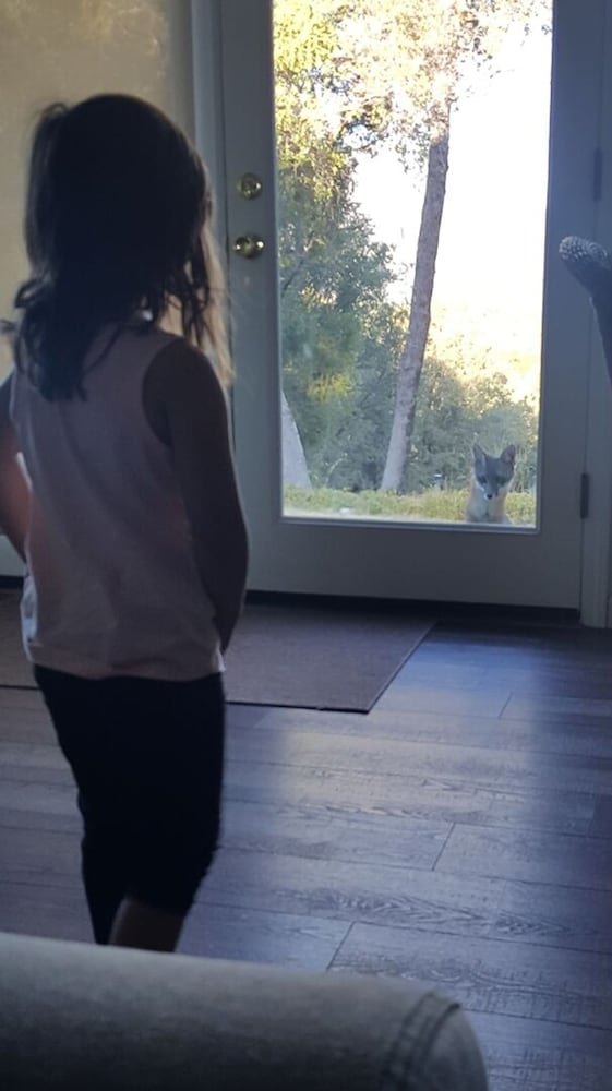 human