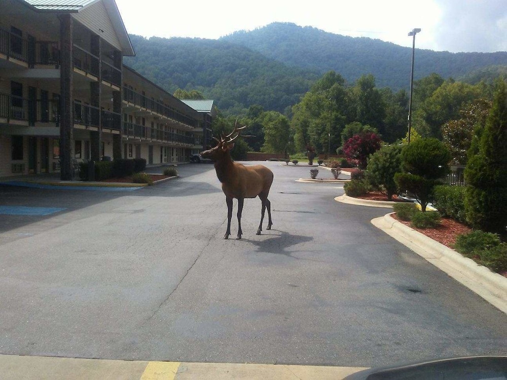 Cherokee Lodge