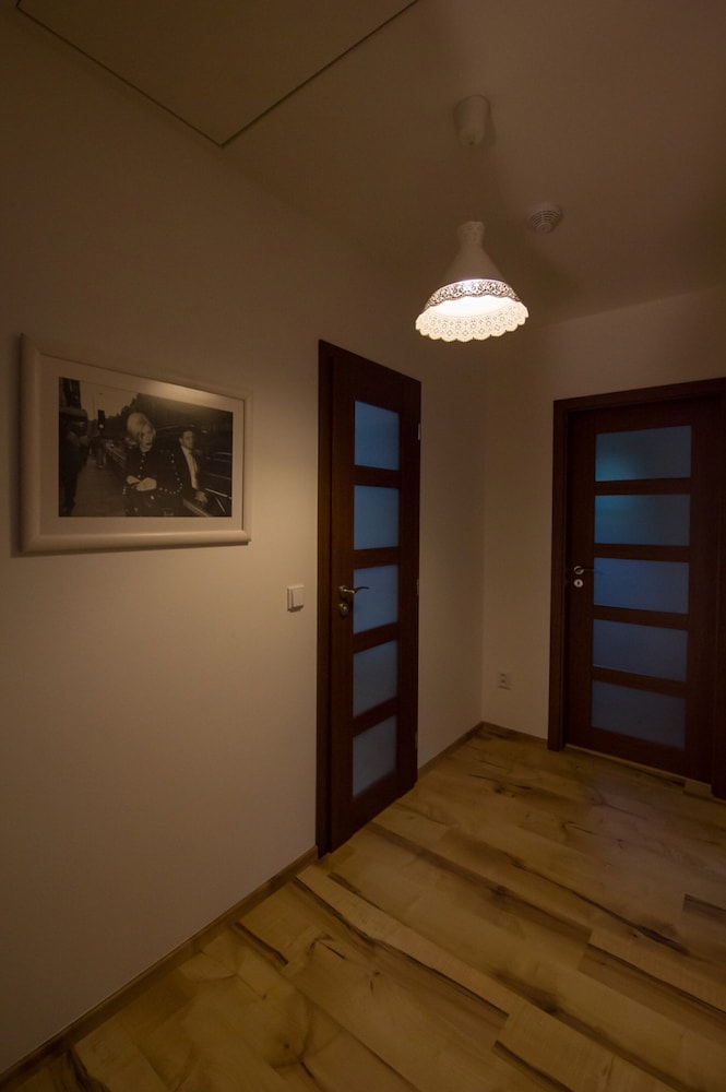 Villa in Ore Mountains Near Ski Areal Kliny