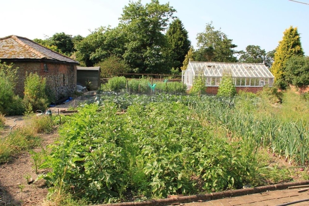 Haughley House B&B