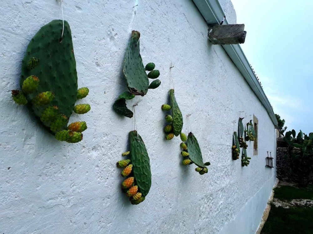 Masseria Costarella