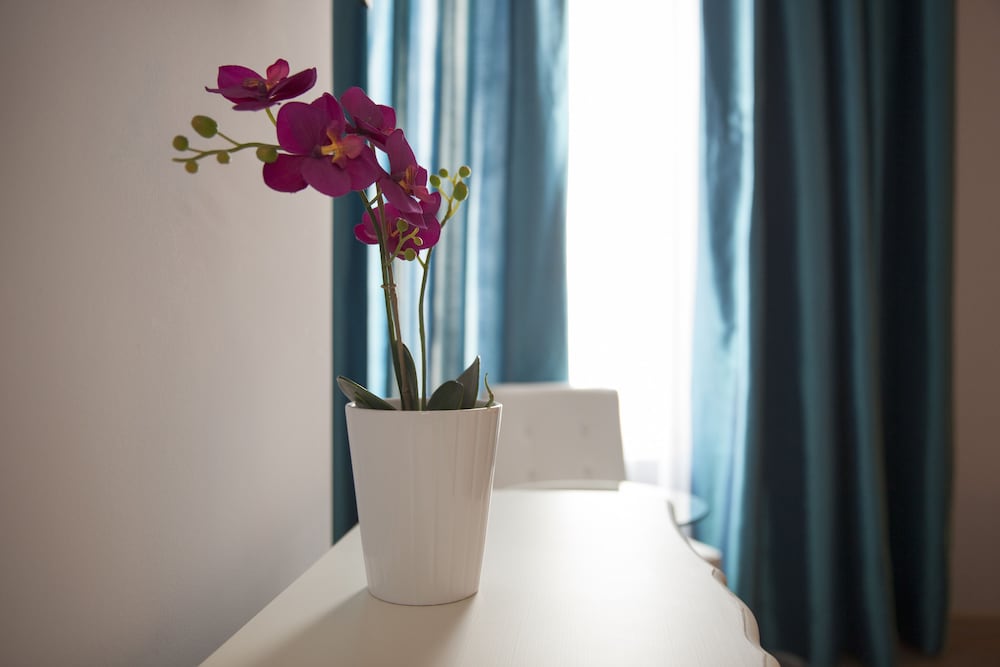Umma Barcelona Bed & Breakfast Boutique
