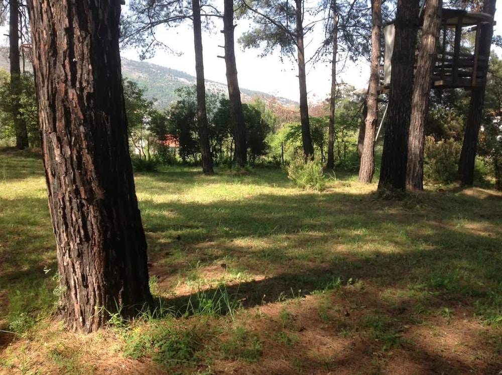 Hestia Garden View - Thassos Homely Vibes