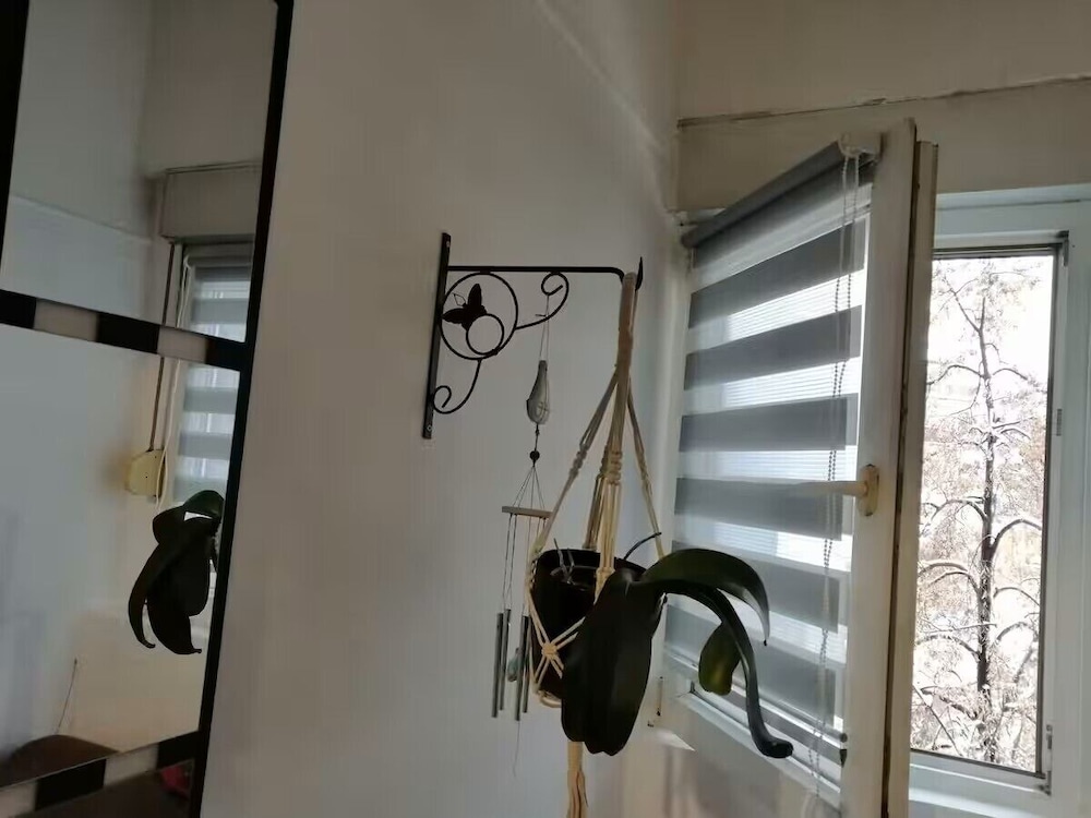 Tiny Little Flat