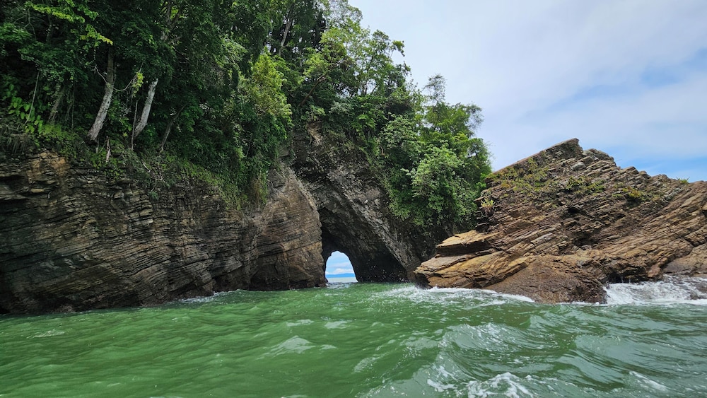 Vista Ballena