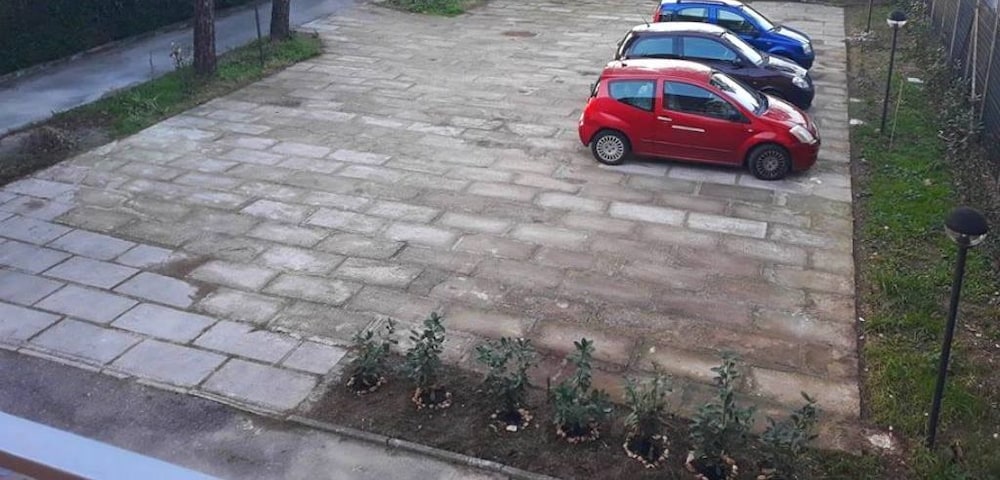 Photo 33
