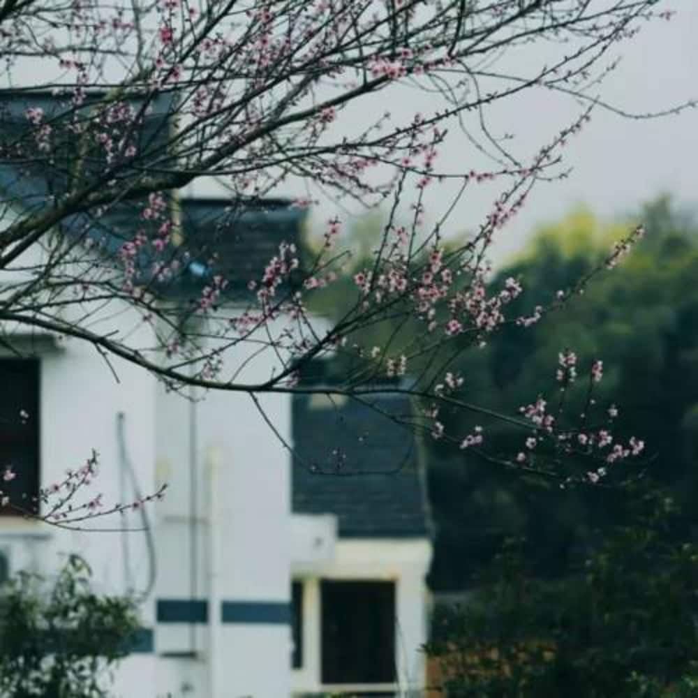 Shisui Home Guest House