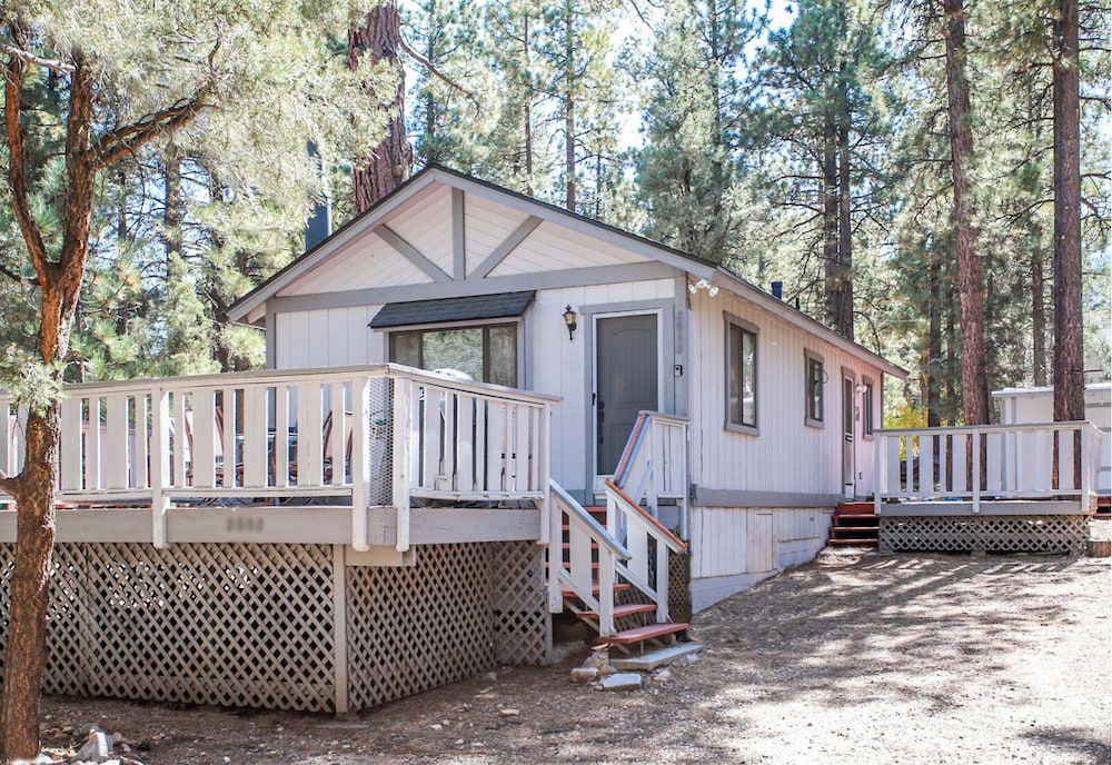 Cedar Pines
