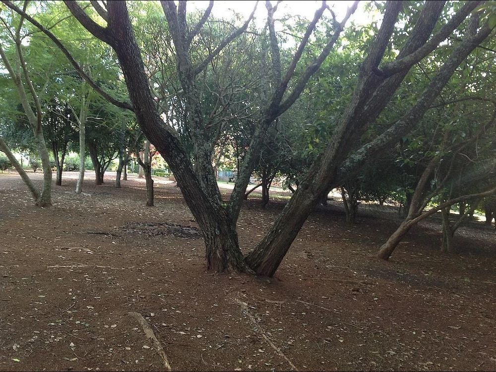 Hotel Fazenda Dons de Minas