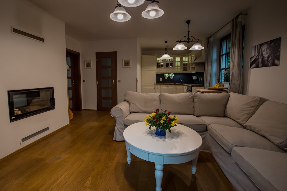 Villa in Ore Mountains Near Ski Areal Kliny