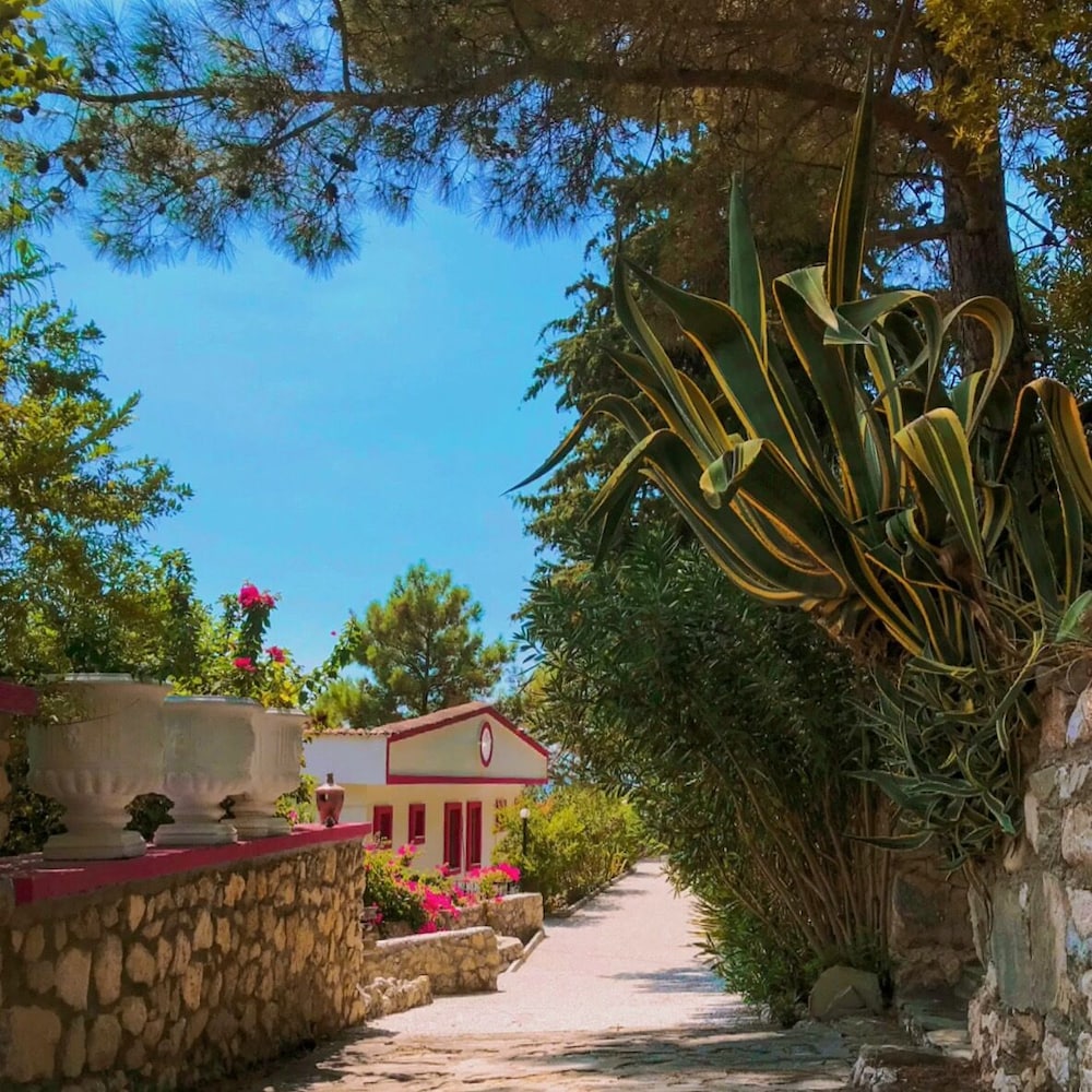 Photo 6